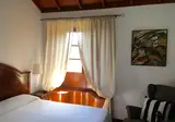 Ibo Alfaro foto 11