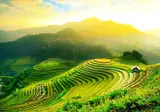 Thailand Compleet foto 3