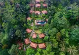 Nandini Jungle by Hanging Gardens foto 15
