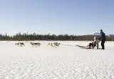 8 daagse excursiereis Lapland Hotel Sirkantähti foto 2