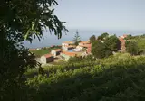Quinta das Vinhas foto 18