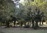Agriturismo Villa Graziani foto 20