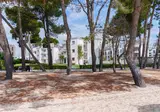 Lime Playa de Alcudia foto 11