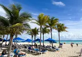 The Reef Playacar Beach Resort & Spa foto 28