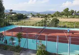 Kalloni Bay foto 15