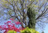 Dimora Morelli B&B foto 19