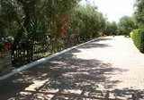 Asteris Village foto 29