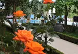 Golden Rose Suites foto 25