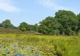 Oostappen Vakantiepark Boschbeek foto 7