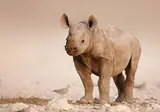 Explore Impressive Namibia foto 1