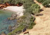 Fly & Go Cretan Village foto 4