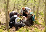 Camping Donnersberg foto 7