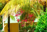 Silver Beach Hotel foto 11