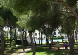 Las Brisas I & II foto 29