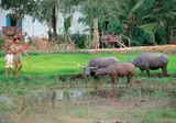 20-daagse rondreis Vietnam Compleet foto 4