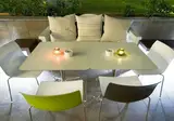 Magnolia foto 28