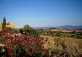 Tenuta Fattoria Vecchia foto 25