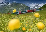 Glacier- en Bernina Express foto 18