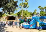 Camping Le Bois Masson foto 10