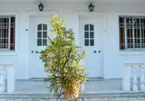 Paradise Beach Appartementen foto 11
