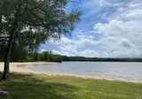 La Forêt foto 18