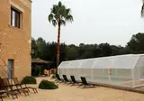 Finca Son Sama foto 18