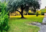 Bruskos Hotel & Suites foto 9