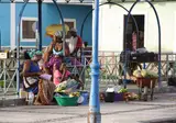 8 daagse eilandhoppen de Valleien van Antao foto 3