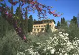 Art Hotel Villa Agape foto 15