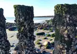 Fewo Westkapelle foto 10