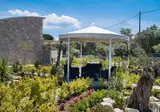 Maistro Boutique Suites foto 18