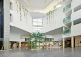 Hotel Neptuno foto 5