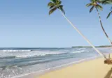 Viva V Samana by Wyndham, A Trademark Adults All Inclusive foto 15