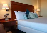 Mercure Rome Leonardo da Vinci Airport foto 30