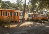 Camping Village Poljana foto 4
