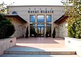 Budapest Airport Hotel Stacio Wellness & Conf foto 7