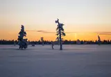 8-daagse Winterbelevenis Tromsø, Kiruna en het IJshotel foto 5