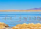 Beautiful Chile and Easter Island foto 3