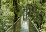 Discover Unique Costa Rica foto 2