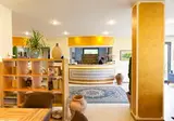 Hotel Andreaneri foto 20