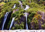 Experience the Highlights of New Zealand foto 2