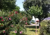 Camping Romantica A Lago foto 7