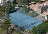 Restia foto 16