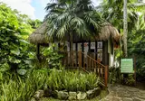 The Reef Playacar Beach Resort & Spa foto 24