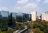 Krystal Grand Suites Insurgentes foto 16