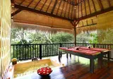 Nandini Jungle Resort & Spa foto 17