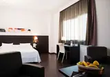 Sercotel Hotel Plana Parc foto 29