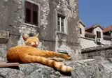 Ontdek Albanië en Montenegro foto 22