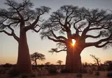 Ontdek Tanzania foto 8