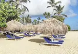 Serenade Punta Cana Beach & Spa Resort foto 29